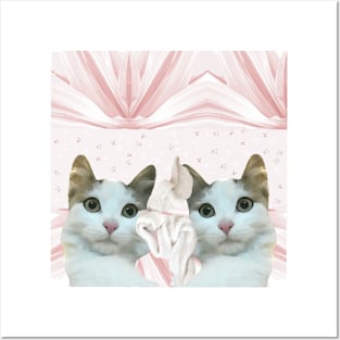 Two kitten Posters and Art